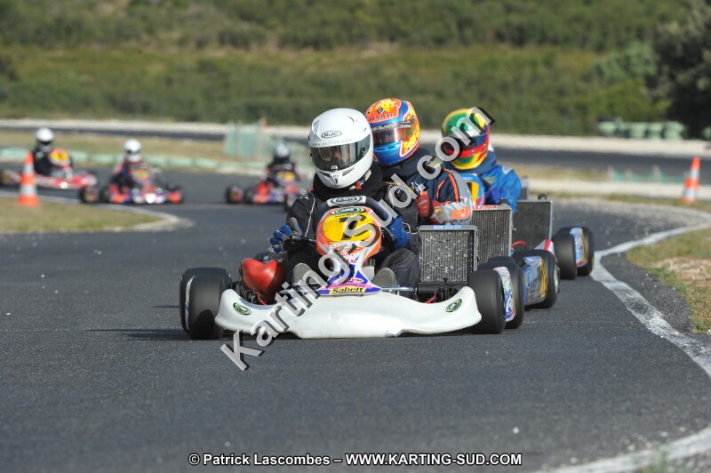 DSC (3964).JPG